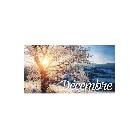 Séjour Décembre