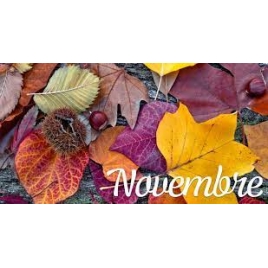 Journée Novembre 2