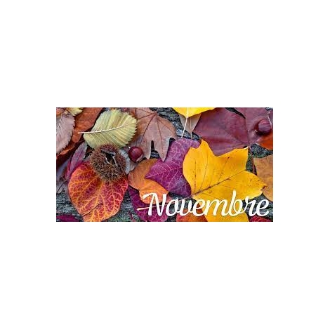 Journée Novembre 2