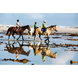 Balade à Cheval en famille - CMCAS Chartres-Orléans