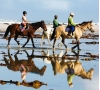 Balade à Cheval en famille - CMCAS Chartres-Orléans